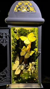 Butterfly Lantern Night Light – Handmade Specimen Lamp with Vintage Design